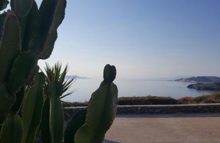 Syros Apartments Suites Chryssonisos Kini - Foto 16