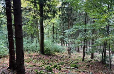 Dom z widokiem - Foto 78