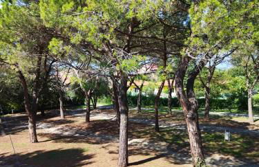 Appartamento doppi bagni sei posti letto - Foto 31