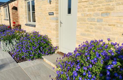 Briary Cottages at Iletts Farm - Photo 80