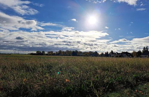 Relax Apartment Seenähe zum Kulkwitzer See - Photo 63