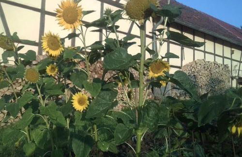 Loft Eifel Idylle - Photo 24