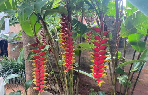 #casinhadasbananeiras - Foto 18