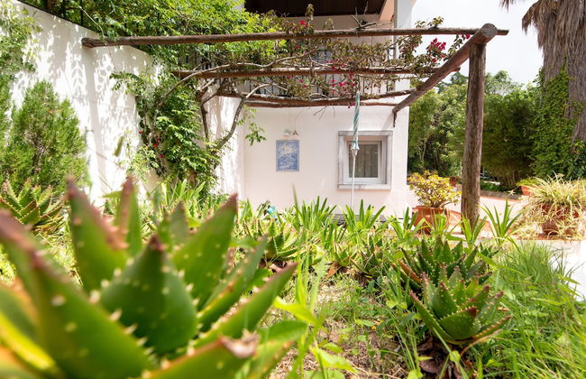 Quinta Verde Sintra - Foto 38