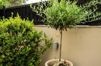 Amaryllis Holiday Home - Photo 59