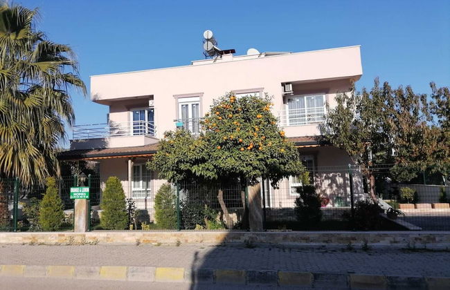 Orange and Lemon Homes - Foto 19