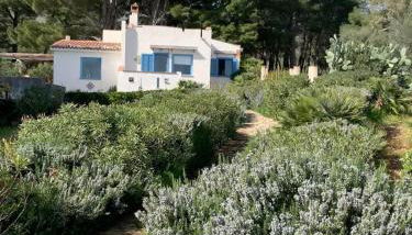 Casa di Cri - Foto 4, Garden