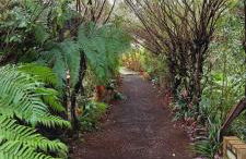 Sete Cidades Lake Lodge - Photo 14