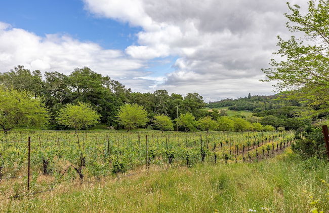 Sonoma Sunshine by Avantstay Countryside Views - Foto 76
