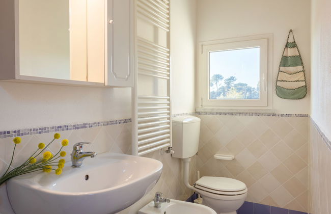 Michelangelo II - Foto 17