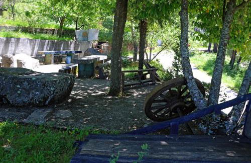 Mira Pombeira - Foto 30