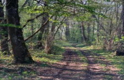 Holiday Home in Chilleurs near Château - Foto 24