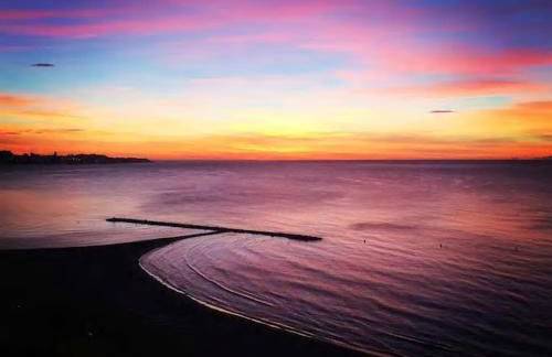 Flamenco I - Photo 8