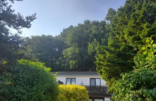 Apartment am Waldrand Nichtraucher gemütlich und ruhig - Foto 1