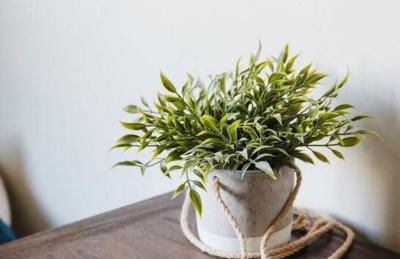 Casa Italia -2BR- FREE Driveway parking for 2 cars - Foto 21