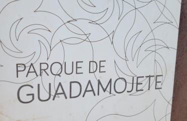 Radazul Paraíso Beach - Dive - Foto 34