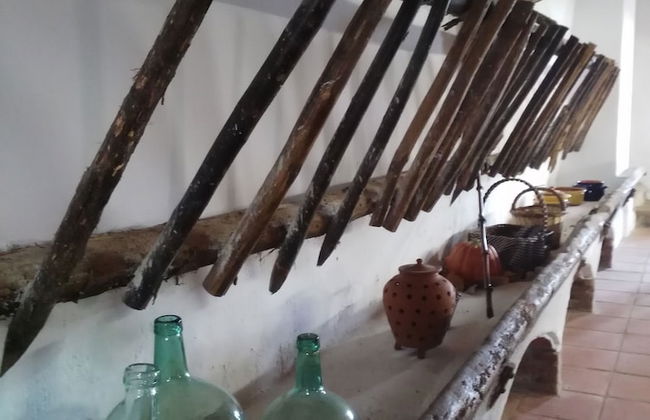 Mas Can Puig de Fuirosos - Foto 34