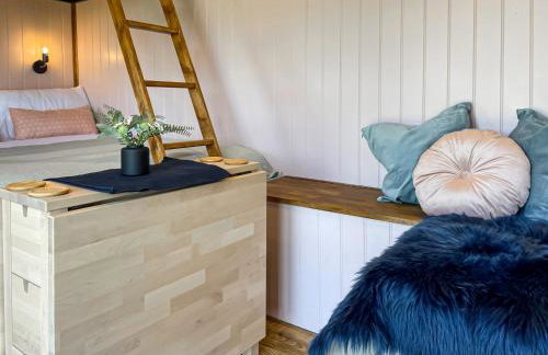 Forget-Me-Not - Uk37646 - Foto 4