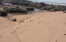 Casa Susana - Foto 22