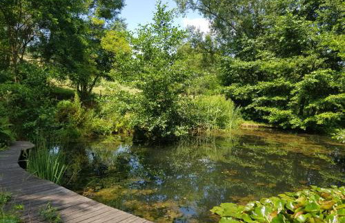 Na Piotrowickiej Przełęczy - Foto 58