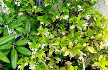 Beau 4 pièces dans coin de verdure - Foto 39