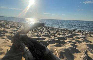 Dzika Foka Wiosłowa 49 - Photo 26