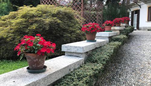 Villa Ombrosa - Foto 4