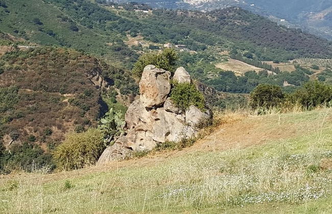 Agriturismo Mama Lina - Photo 29