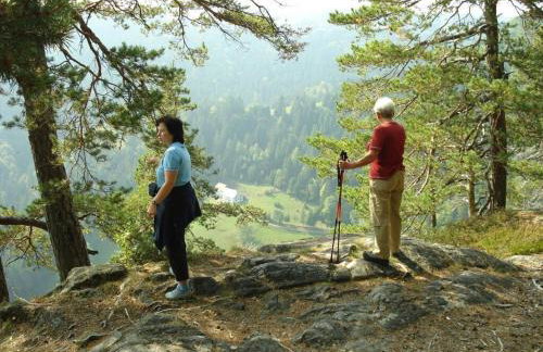 Holiday Apartment Schupp - Foto 39