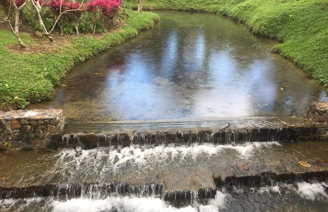 Orchard House - Photo 25