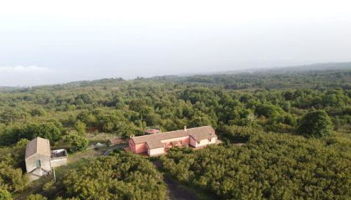 Feudo Magazzeni Etna - Foto 3