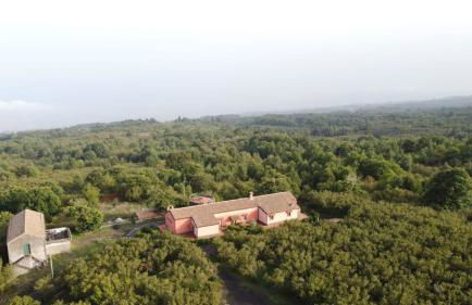 Feudo Magazzeni Etna - Foto 3