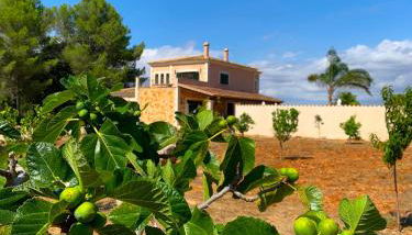 Finca Son Amal - Foto 3