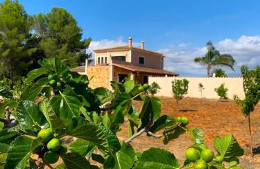 Finca Son Amal - Foto 3