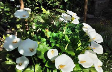 House with stunning views - Foto 11