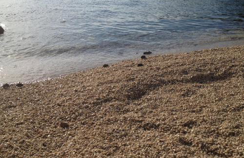 Apartment Renata - Foto 9