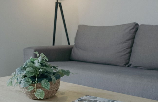 Casa Palacio La Casa Blanca Suites - Foto 36