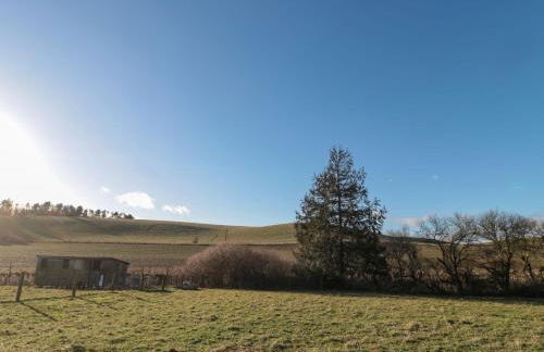 Silverbirch - Foto 21