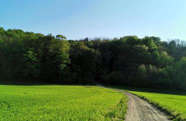 Forest paradise - Photo 2