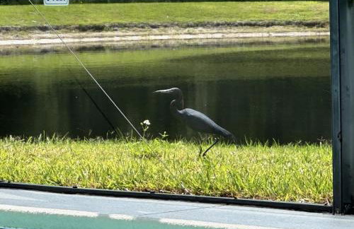 Sunny lake view villa with pool spa - close to attractions - Foto 44