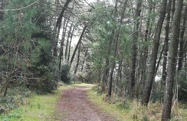 Bilocale Marina Romea - Photo 24