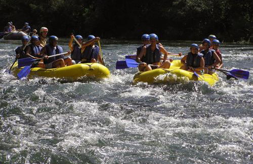 Apartments Nature - Foto 27