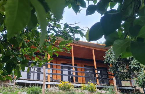 Villa dos Pensamentos - Foto 33