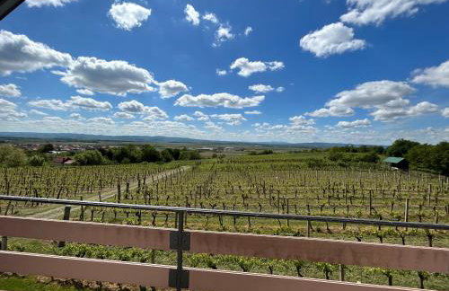 Kuća za odmor Baron - Foto 22