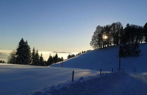 Haus Grabenbühl - Foto 10