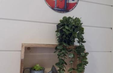 L étoile de mer - Foto 8