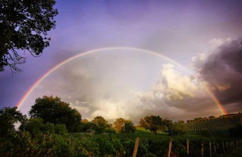 Agriturismo Diaccialone - Foto 29