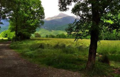 Apartamentos Tuara - Foto 1