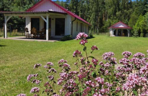 Domki Letniskowe Między Jeziorami w Lipnicy - Foto 4