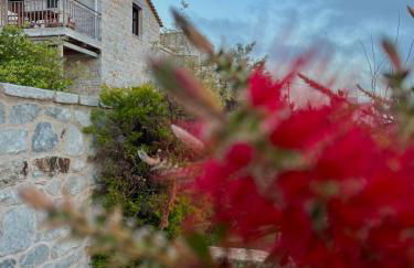 Achelatis Traditional Guest Houses - Foto 10